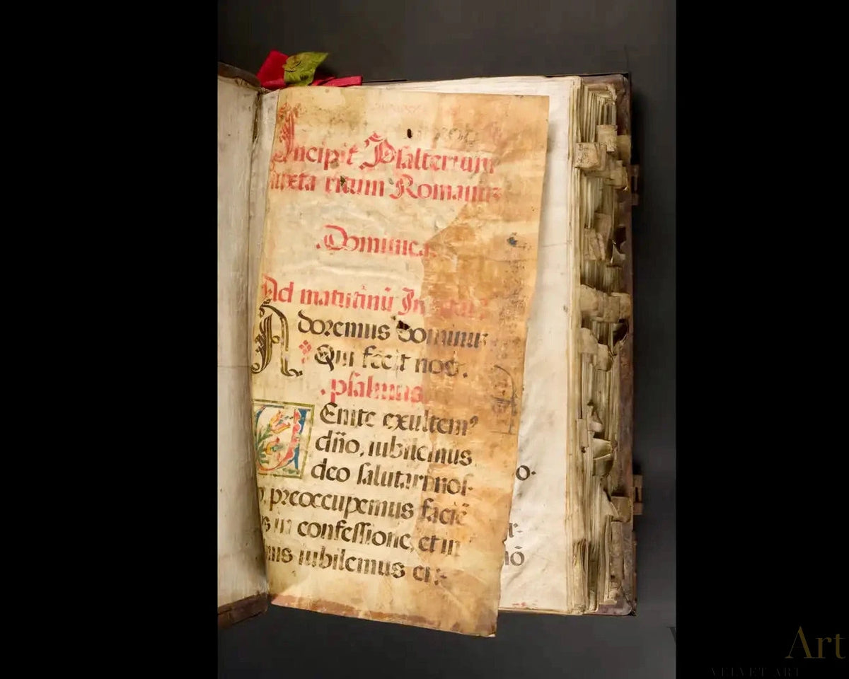 Manuscrito Iluminado, Salterio Litúrgico en Latín, España, Siglo XVI (1550–1575) – vista 4 de 9