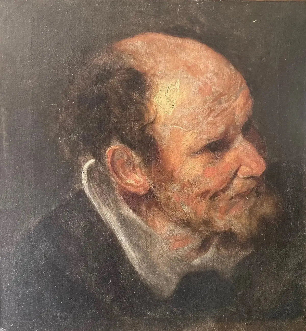 Van Dyck (1599-1641) Óleo Estudio de una Cabeza de Hombre, 1630