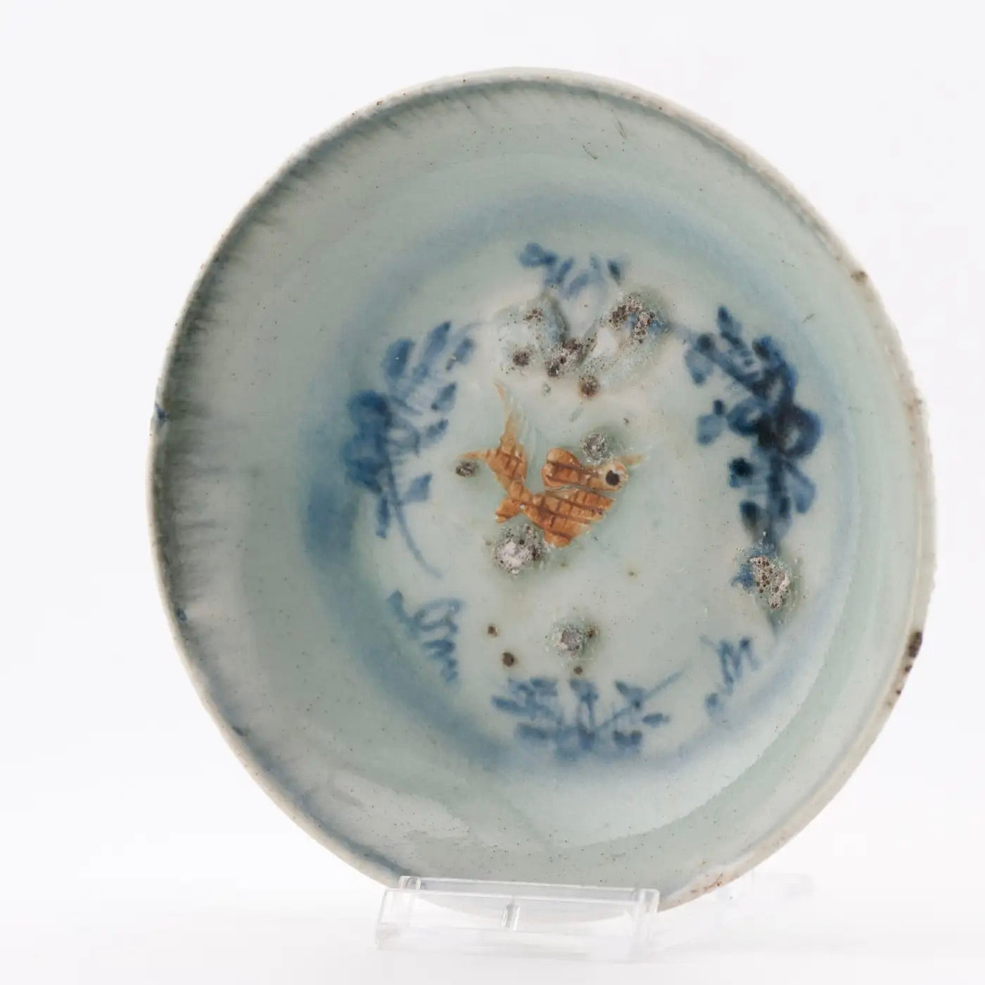 Plato de Porcelana China con Pez en Relieve | Dinastía Ming | 1500–1600