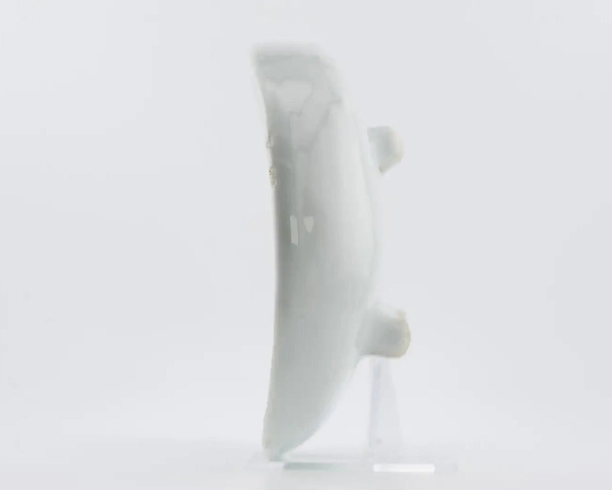 Plato Kosometsuke Azul y Blanco con Diseño de Pez y Camarón | Porcelana Ming del Siglo XVII