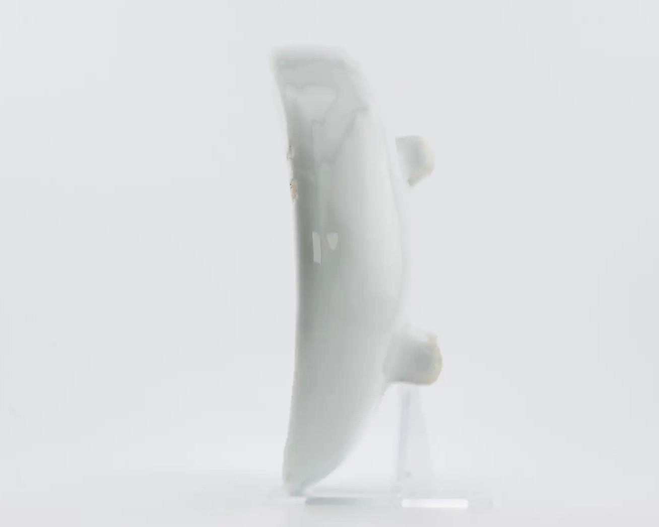 Plato Kosometsuke Azul y Blanco con Diseño de Pez y Camarón | Porcelana Ming del Siglo XVII