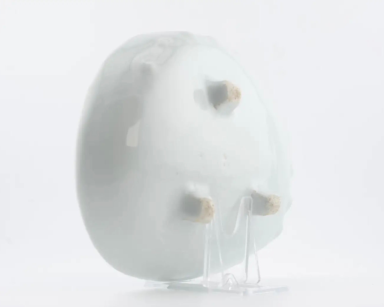 Plato Kosometsuke Azul y Blanco con Diseño de Pez y Camarón | Porcelana Ming del Siglo XVII