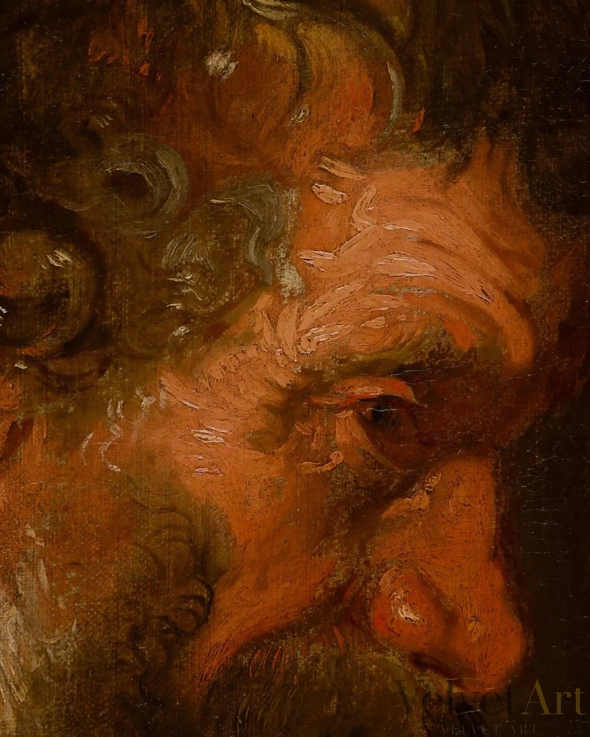 Círculo de Anthony van Dyck, Estudio de la Cabeza de un Hombre Barbudo, Óleo sobre Lienzo, 1620 – vista 3 de 5
