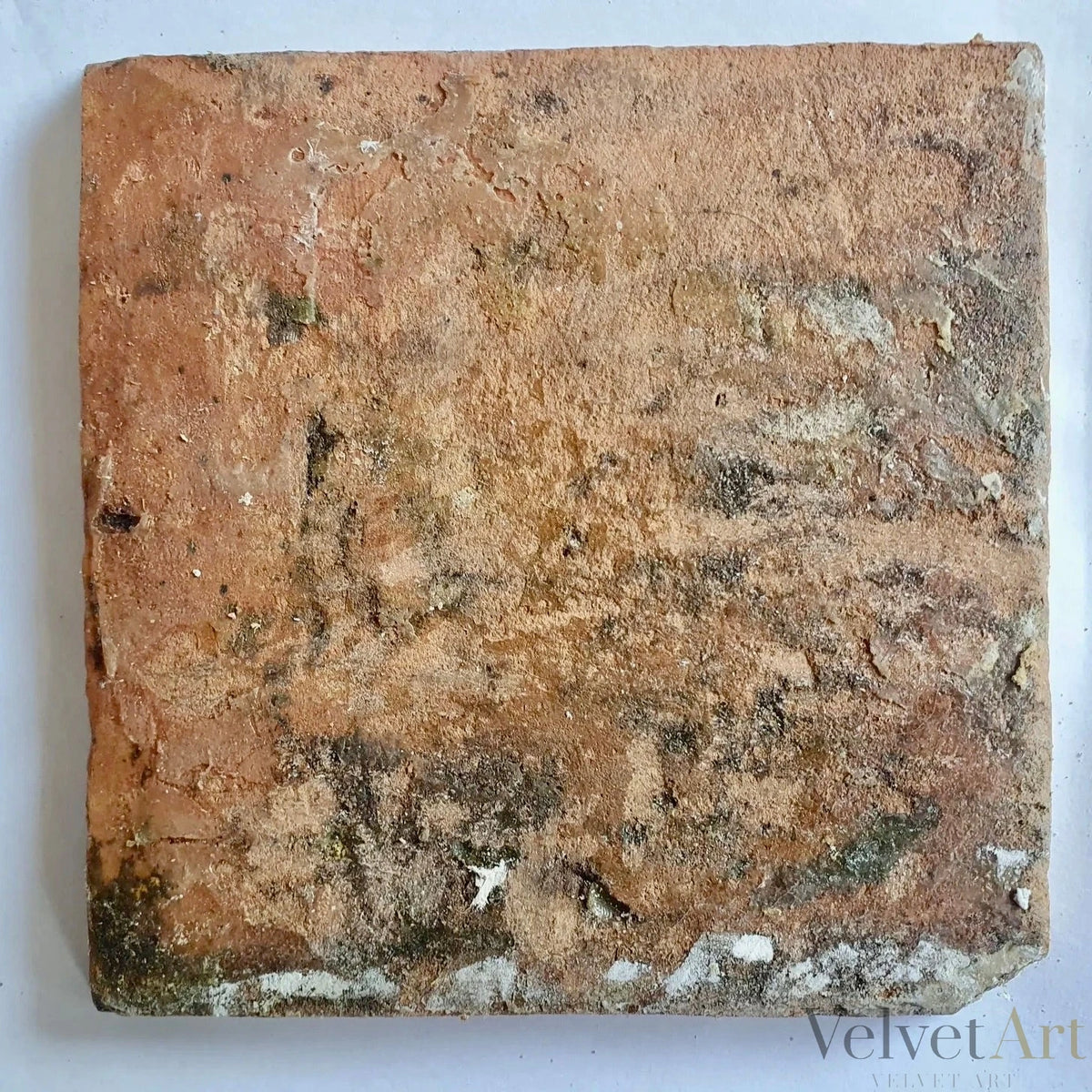Azulejo Policromado Holandés del Siglo XVII, Pájaro, Esquinas Cabeza de Buey, Fechado en 1625 – vista 4 de 4