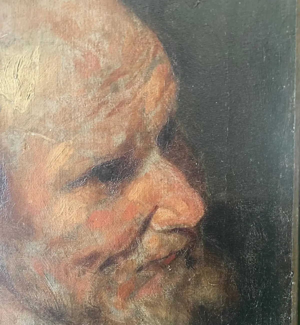 Van Dyck (1599-1641) Óleo Estudio de una Cabeza de Hombre, 1630
