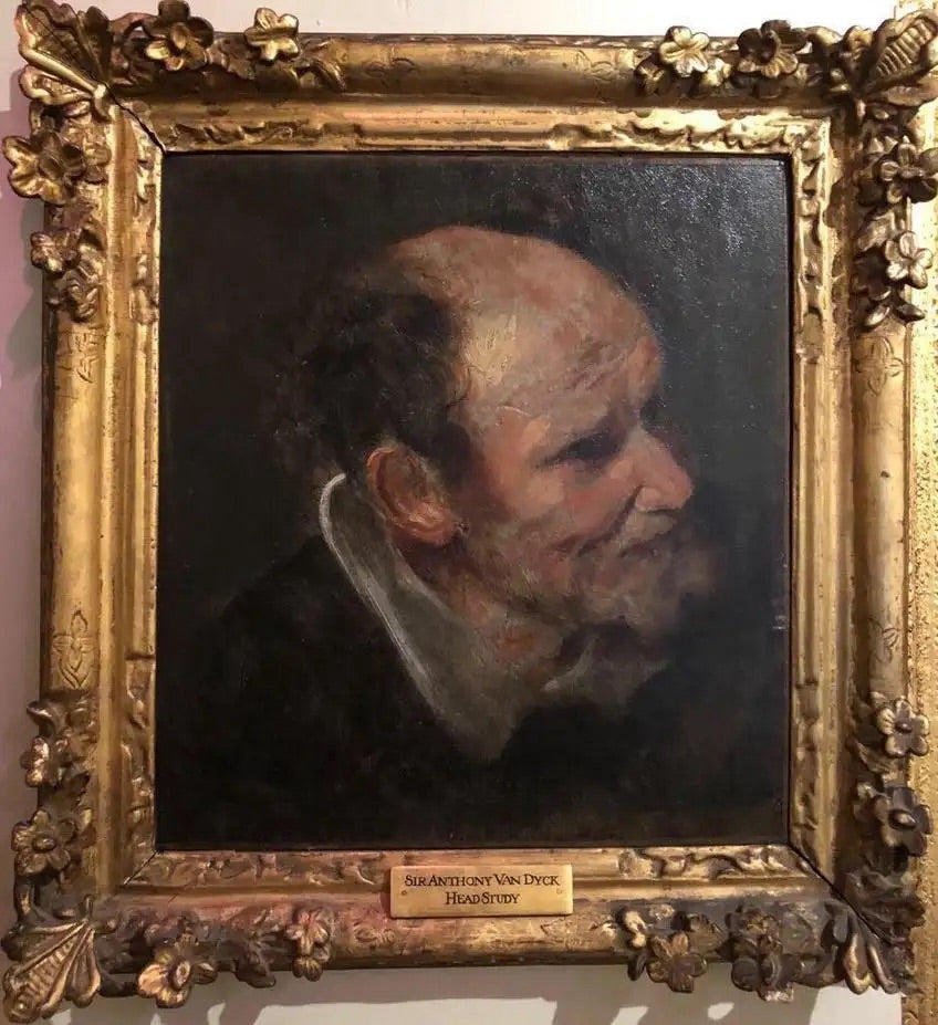 Van Dyck (1599-1641) Óleo Estudio de una Cabeza de Hombre, 1630