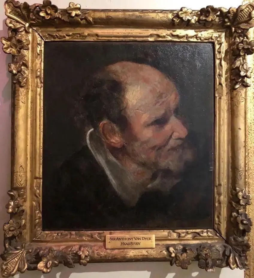 Van Dyck (1599-1641) Óleo Estudio de una Cabeza de Hombre, 1630
