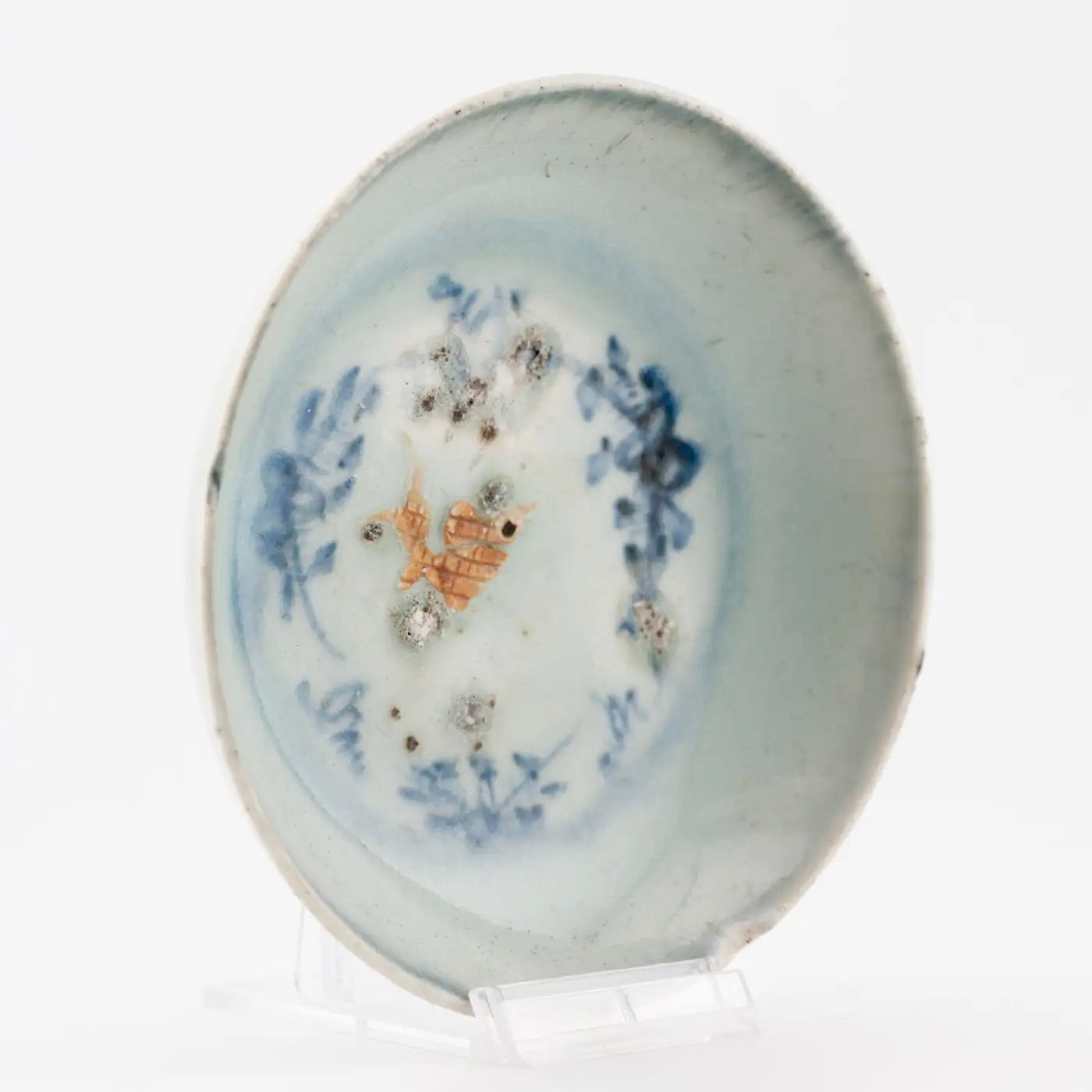 Plato de Porcelana China con Pez en Relieve | Dinastía Ming | 1500–1600