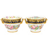 Par de Jarrones de Sevres, Siglo XIX