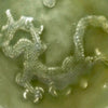 Plato Chino de Celadón Longquan con Dragón en Relieve | Siglos XII-XIV | Dinastía Yuan-Ming Temprana