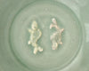 Plato de Celadón Longquan con “Peces Gemelos” | Cerámica Song-Yuan