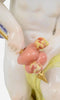 "Cupido" | Porcelana de Meissen 1890