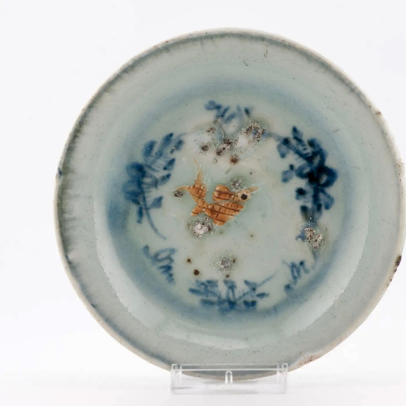 Plato de Porcelana China con Pez en Relieve | Dinastía Ming | 1500–1600