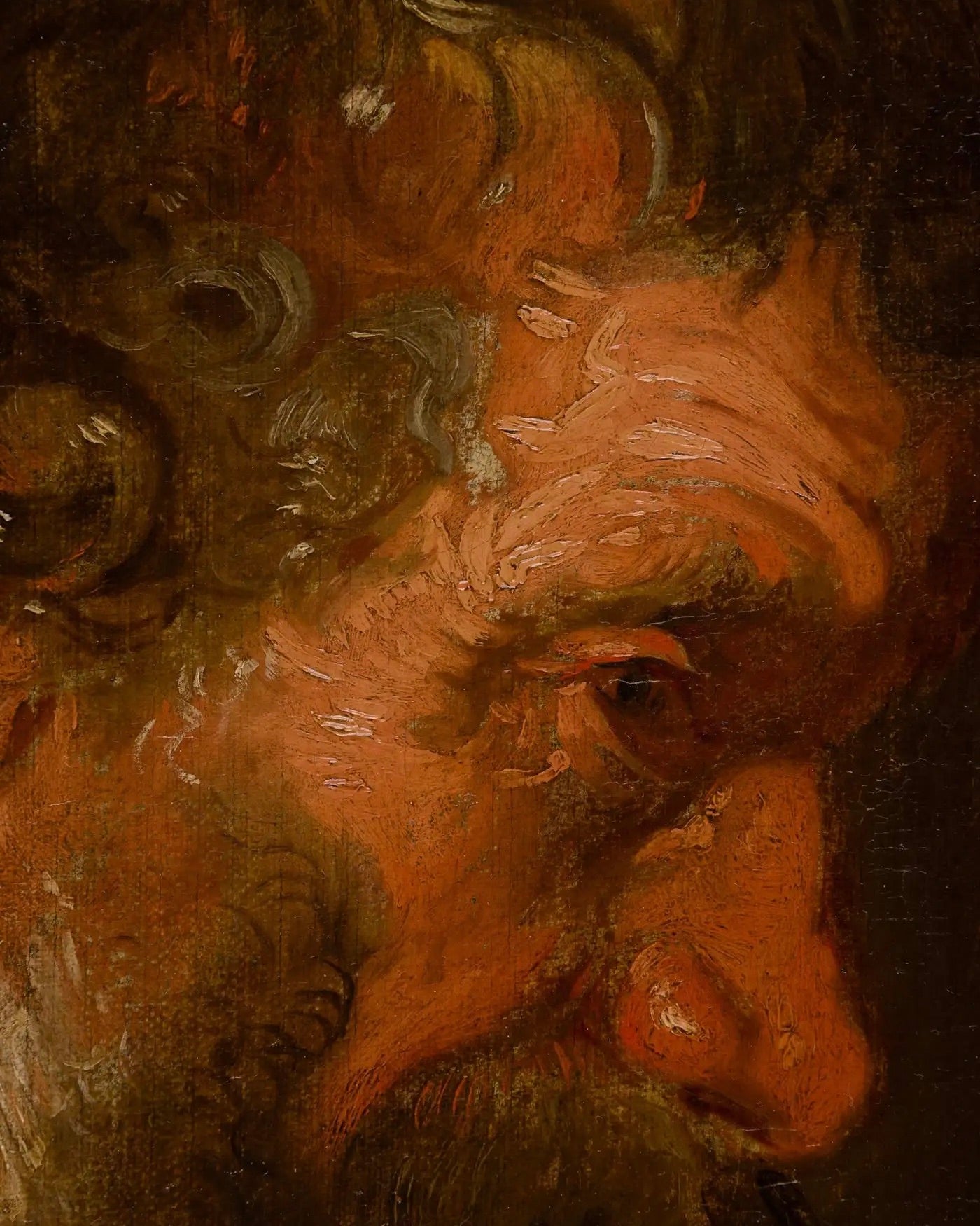 Círculo de Anthony van Dyck | "Estudio de la Cabeza de un Hombre Barbudo" | Óleo sobre Lienzo, 1620