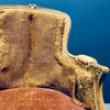 Sillones Bergère Franceses del Siglo XIX | Estilo Luis XV