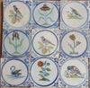 16 Azulejos Delft Holandeses Policromados, con Flores y Pájaros | Siglo XVIII-XIX