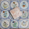 16 Azulejos Delft Holandeses Policromados, con Flores y Pájaros | Siglo XVIII-XIX